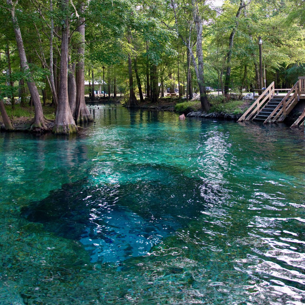 <b>Florida.</b>
<br>
<br>Este es otro de los manantiales de aguas dulces y frescas de Florida: 
<b>Ginnie springs. </b>Fluyendo hacia el río Santa Fe, el manantial claro permanece a una temperatura constante de 72 grados F durante todo el año y es un destino muy escogido por nadadores, buceadores y familias. 
<br>