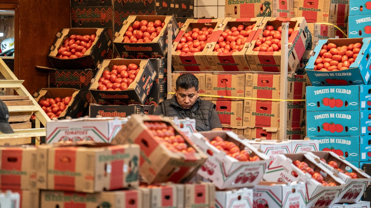 Cónsul de México en Phoenix: aranceles al tomate impactarán a casi todos los restaurantes en EEUU