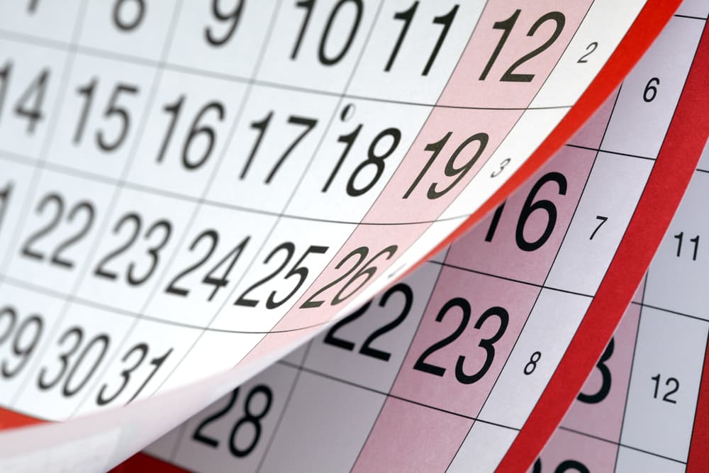 Ahora, deja el papel dentro durante exactamente 21 días. ¡No lo vayas a revisar ni a olvidar ahí!