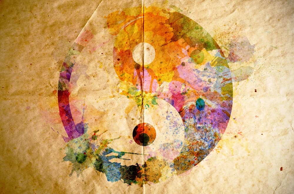 Un principio general que se aplica a todo el movimiento, aceleración y freno, explosión e implosión, avance y resistencia y así en general. Todo tiene su yin y su yang. Cuando masticas los alimentos estás usando el yang, la fuerza, cuando los tragas el yin, la parte pasiva que permite le deglución, todo el organismo funciona con ambas polaridades.