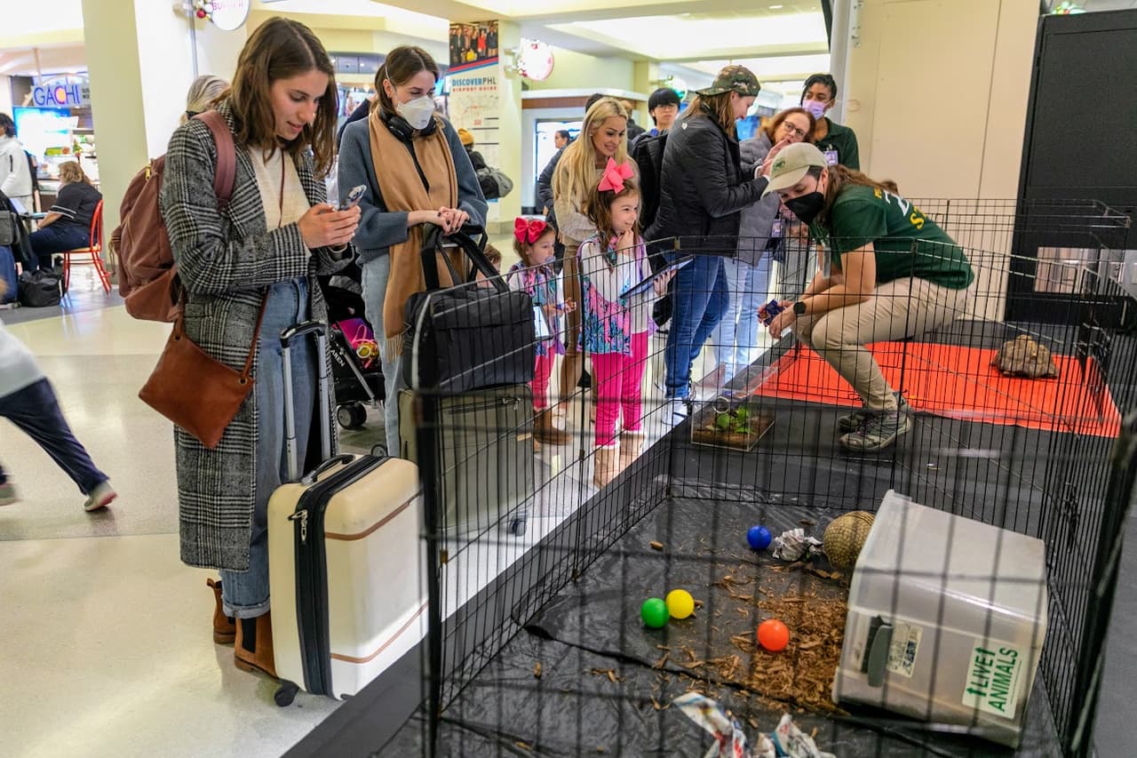 El 
<b>zoológico de Filadelfia</b> traerá nuevamente a su equipo de embajadores de animales a PHL mensualmente como parte de un programa educativo que permite a los viajeros conocer varias criaturas, incluido un armadillo de 24 años llamado Camilla, una tortuga de 36 años llamada Rhonda y un eslizón de cola prensil de 23 años llamado Bili.