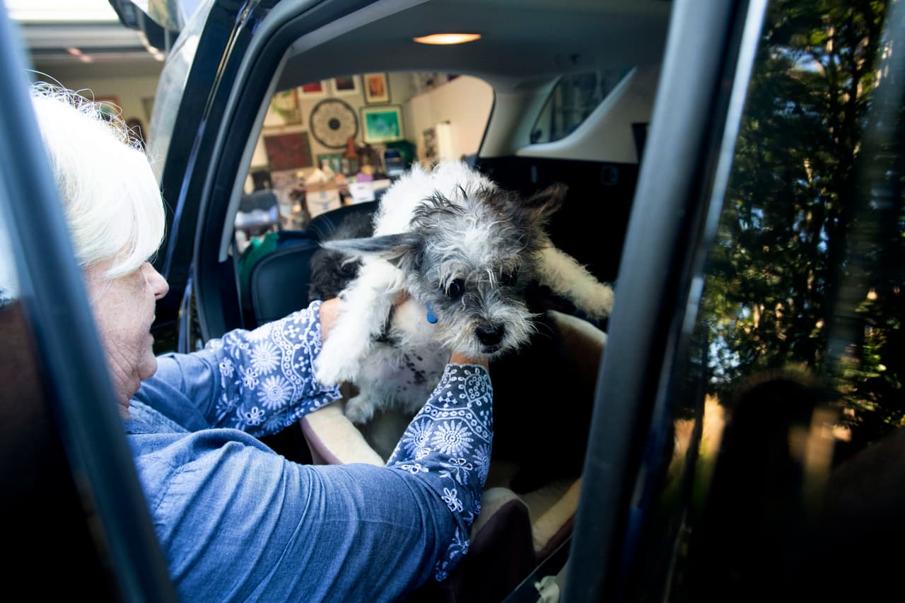 Sandy Beddow subió lo que pudo a su camioneta para asistir a un centro para evacuados. Muchos de los albergues en los condados de Sonoma, Napa y San Francisco aceptaron a los afectados con todo y sus mascotas.
