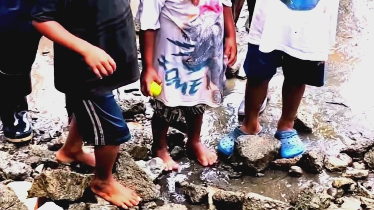 Tres niños se pierden en la selva en medio de enfrentamientos de grupos armados: así los rescataron