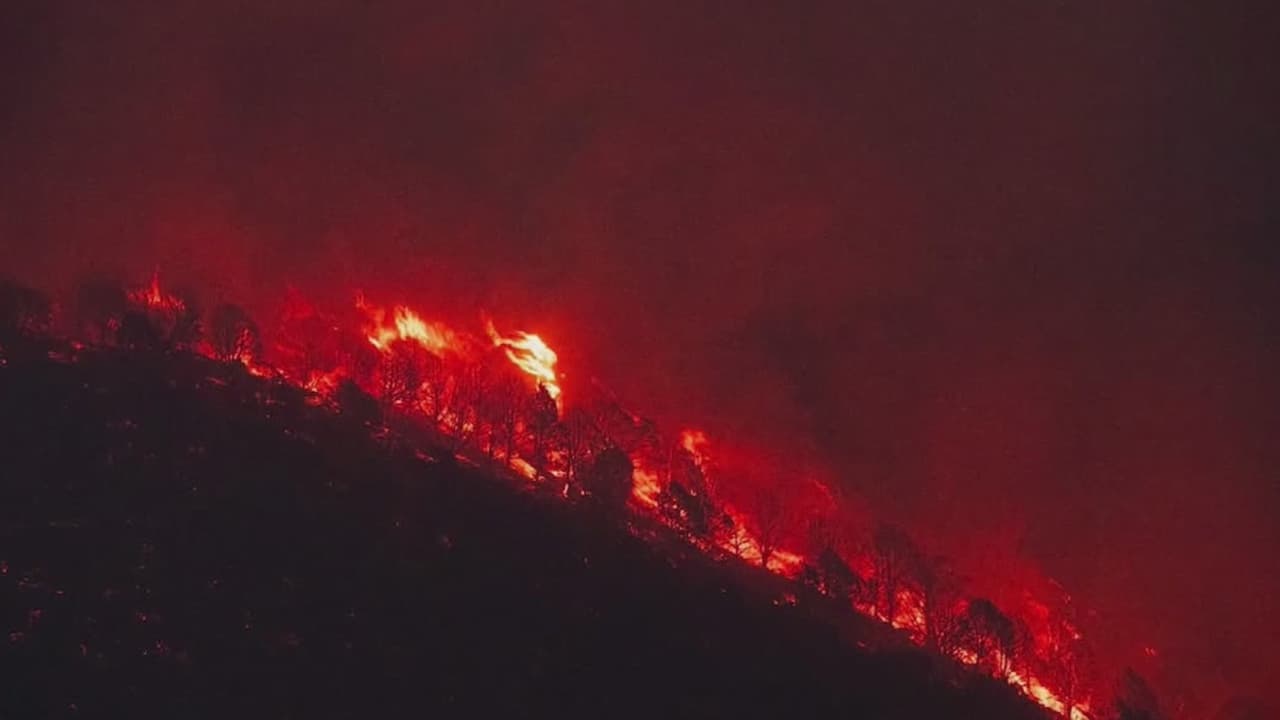 Incendios forestales arrasan el sur de Utah: esto es lo que debes de saber