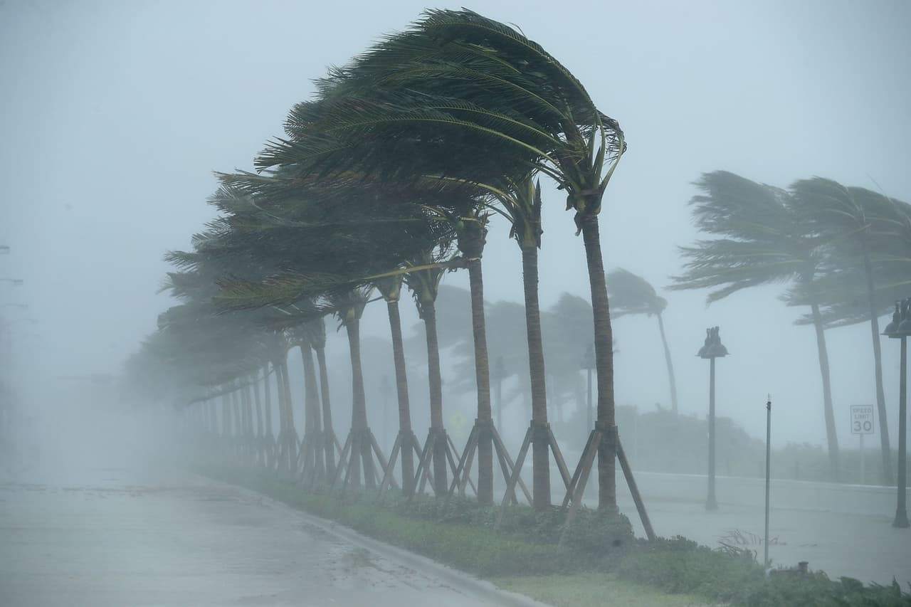 <h3 class="cms-H3-H3">6. Huracán Irma (septiembre de 2017)</h3>
<br>
<br>🌀
<b> Presión mínima en milibares: </b>914
<br>
<br>🌀
<b> Velocidad máxima de vientos al tocar tierra: </b>155 mph (249 kph).
<br>
<br>🌀 
<b>Velocidad máxima de vientos registrada: </b>155 mph (249 kph).
<br>
<br>🌀 
<b>Áreas afectadas: </b>Islas del Caribe y Florida.
<br>