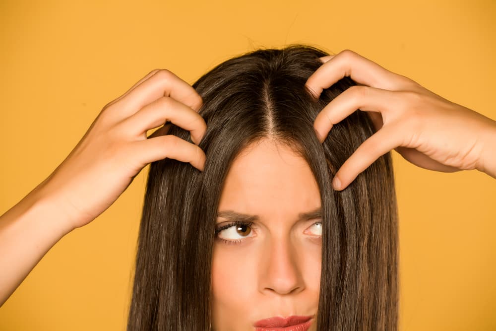 <h3 class="cms-H3-H3">Soñar que otra persona tiene piojos</h3>
<br>Esta persona, que igual y sea visible o no en nuestro sueño, necesita nuestro apoyo y consejo, pero no se anima a pedirlo o a hacer preguntas debido a su propia personalidad. Debemos estar atentos para ver quién está esperando nuestra mano porque están pasando por un mal momento.