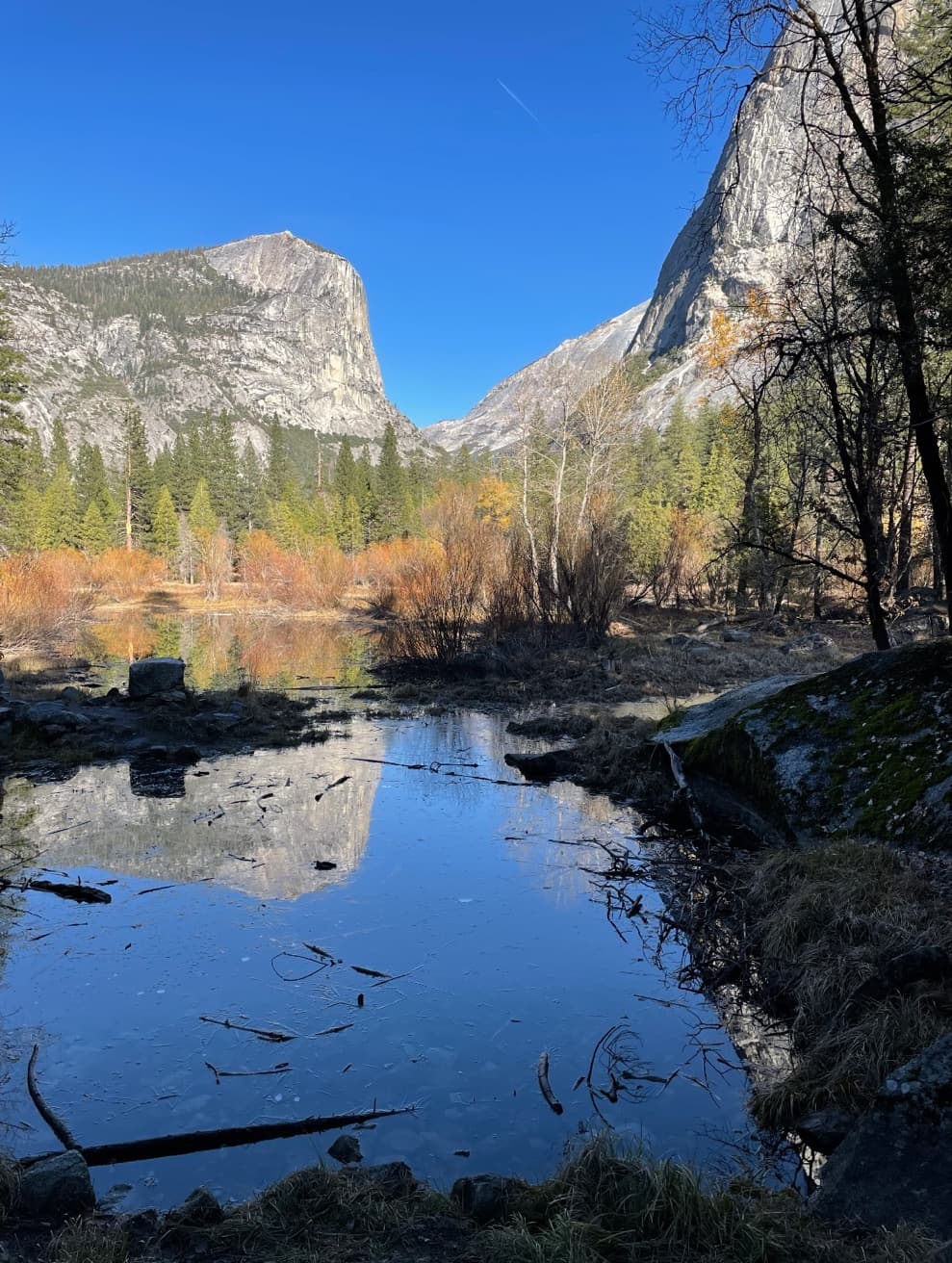 El 
<a href="https://www.nps.gov/yose/espanol/index.htm" target="_blank">Parque Nacional Yosemite </a> es catalogado como el mejor para visitar durante todo el año, tanto en días soleados como de invierno, pues cada temporada resalta aspectos completamente diferentes.