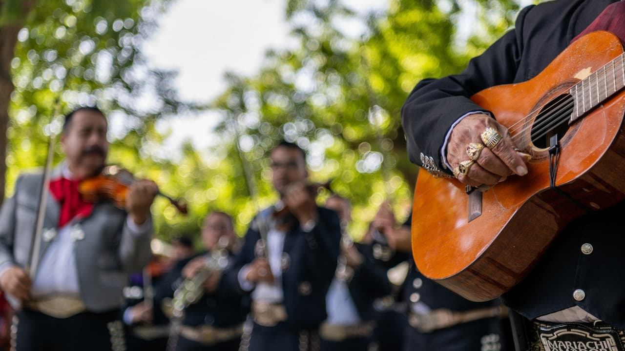 Festival de Mariachi en Houston amenazado por operativos migratorios: “Tienen miedo de salir de casa”