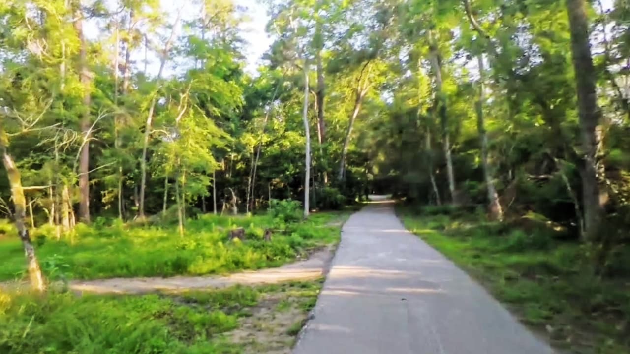 Adolescente es acusado de agredir sexualmente a una mujer en parque Jesse H. Jones en Houston