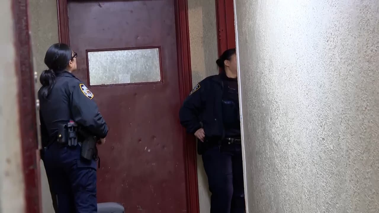 Las investigaciones por el 
<b><a href="https://www.univision.com/local/nueva-york-wxtv/arrestan-ex-pareja-pamela-alcantara-familia-exige-justicia" target="_blank">asesinato de Pamela Alcántara siguen su curso</a></b> y este domingo detectives de la NYPD 
<b>revisaron de nueva cuenta el apartamento donde vivía con su ex pareja y presunto asesino</b>.
<br>