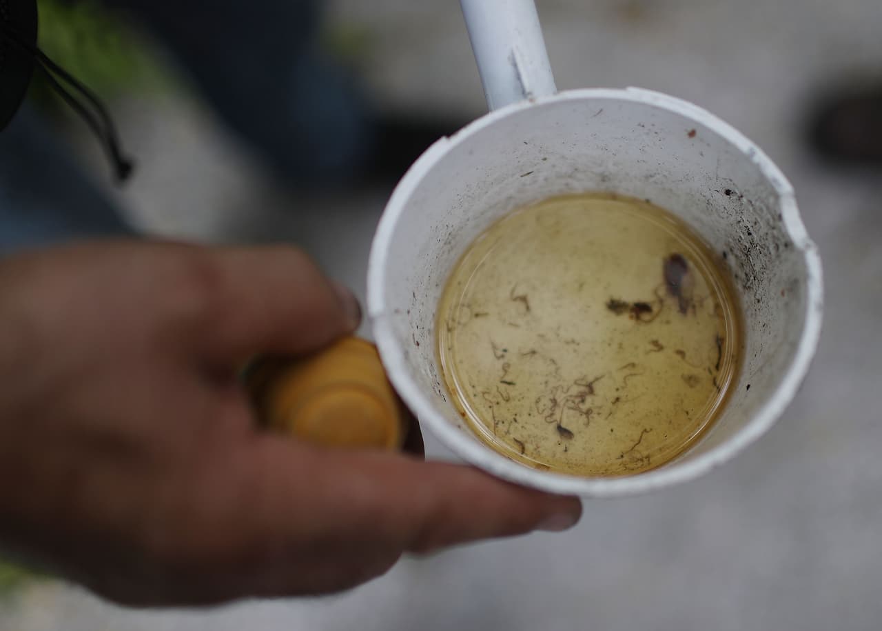 Cualquier cosa que pueda contener agua puede criar mosquitos, desde tapas de botellas de refresco hasta llantas desechadas. Revise su propiedad en busca de estas fuentes de agua estancada y deséchelas. 
<b>Recuerda</b>: Al menos una o dos veces por semana, vacíe el agua de las macetas, platos de comida y agua para mascotas, bebederos para pájaros, cubiertas para piscinas, baldes, barriles, latas y cualquier otro artículo fuera de su hogar.
<br> 
<br>