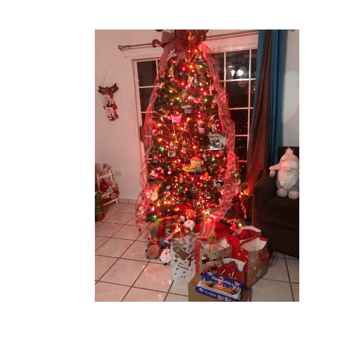 Aracelis Currás nos compartió su colorido árbol.