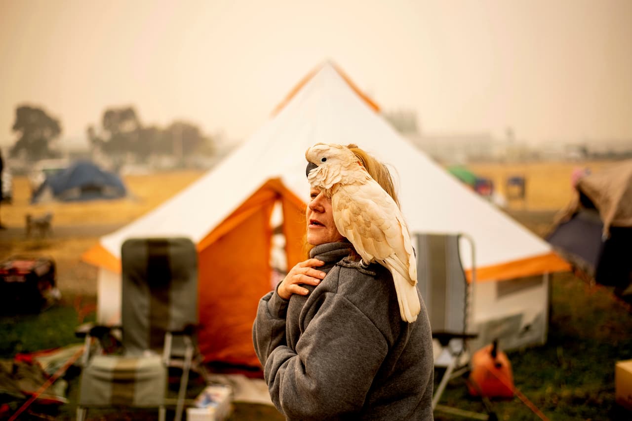 Suzanne Kaksonen perdió su casa de Paradise por el incendio Camp FIre. Permanece junto a decenas de damnificados en un refugio improvisado frente a una tienda Walmart en Chico, a unas 15 millas (25 km) al oeste de Paradise en California. 
<a href="https://www.univision.com/noticias/incendio-en-california/como-una-pequena-chispa-creo-el-incendio-mas-catastrofico-en-la-historia-de-eeuu">Hasta el momento 79 personas han sido encontradas muertas por el devastador incendio.</a>