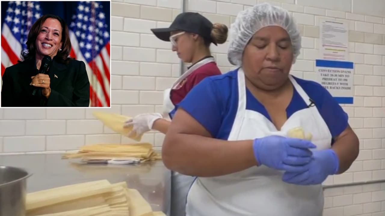 Las elecciones presidenciales son inspiración para muchas personas, quienes, de múltiples formas, demuestran su apoyo a los candidatos. En Chicago, Concepción, una mujer emprendedora, preparó un tamal y un taco en honor a la vicepresidenta Kamala Harris. La hispana revela los ingredientes que llevan estas preparaciones, que se convertirán en una nueva opción para sus clientes.