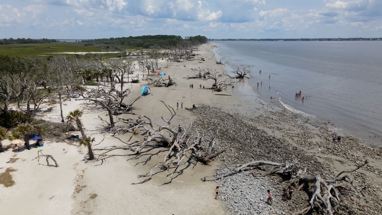 Así es Driftwood Beach, la playa de Georgia que destaca entre las mejores para visitar en Estados Unidos y el mundo
