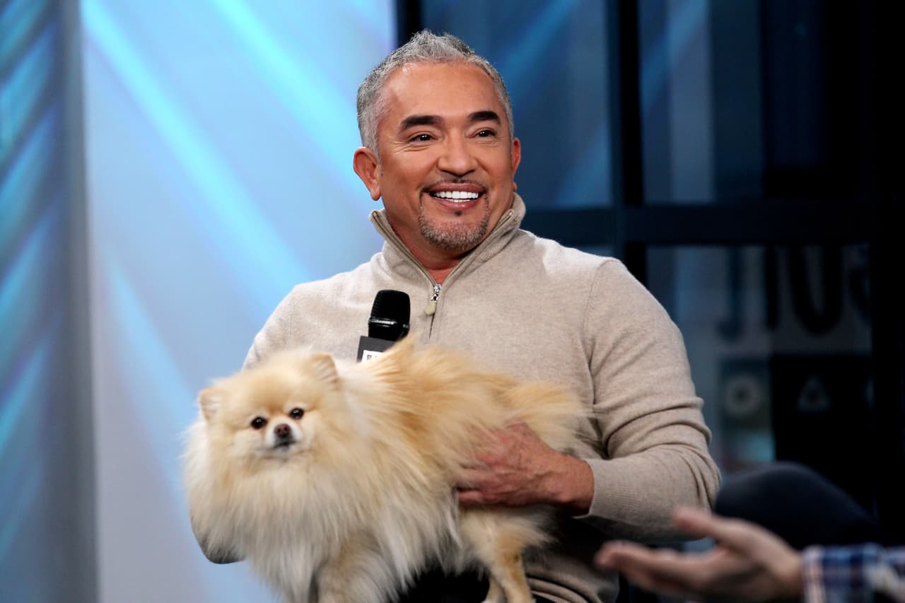 <b>César Millán. </b>El famoso 'encantador de perros' que conquista la franja 
<i>primtime</i> de televisión con sus maneras de conocer los comportamientos caninos es un inmigrante mexicano, que además de haber confesado que entró de manera ilegal a los 21 años tampoco hablaba inglés. Su primer trabajo fue como peluquero canino, y ahí conoció a Jada Pinkett Smith (esposa de Will Smith) quien le pagó durante un año un profesor particular para que aprendiera el idioma. 
<a href="https://www.cesarsway.com/cesar-tv/tv-specials/the-real-story-crossing-the-border">Todo está contado en su biografía</a>.