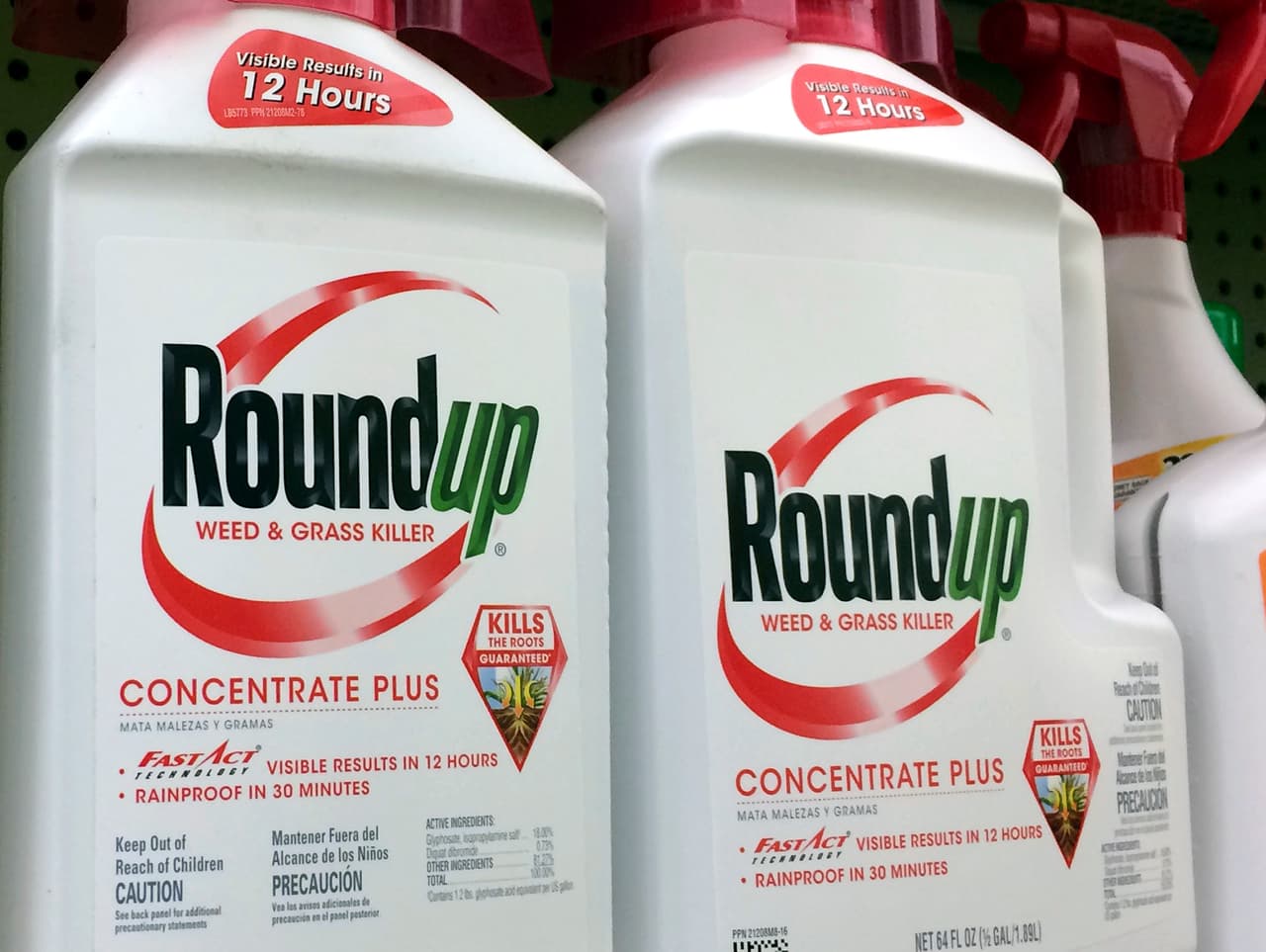 La gigante química Monsanto debe pagar $290 millones por no advertir a un enfermo de un herbicida cancerígeno