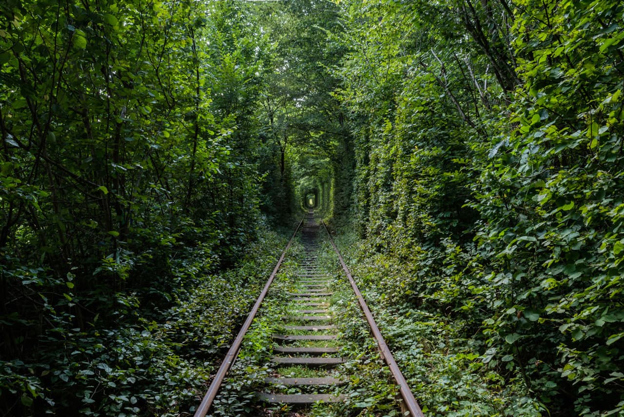 “Al principio solo hacía fotografías de recuerdo de mis viajes, pero con el tiempo comencé a enfocarme en la estética para describir mejor los lugares”, agregó el artista. El trabajo de Veillon ha sido recopilado en el libro “
<i>Green Urbex : Le monde sans nous</i>’ (‘el mundo sin nosotros’, en español), 
<a href="https://livre.fnac.com/a16025372/Romain-Veillon-Green-urbex#omnsearchpos=1"><u>publicado por la editorial francesa Albin Mitchel</u></a>. 
<br>