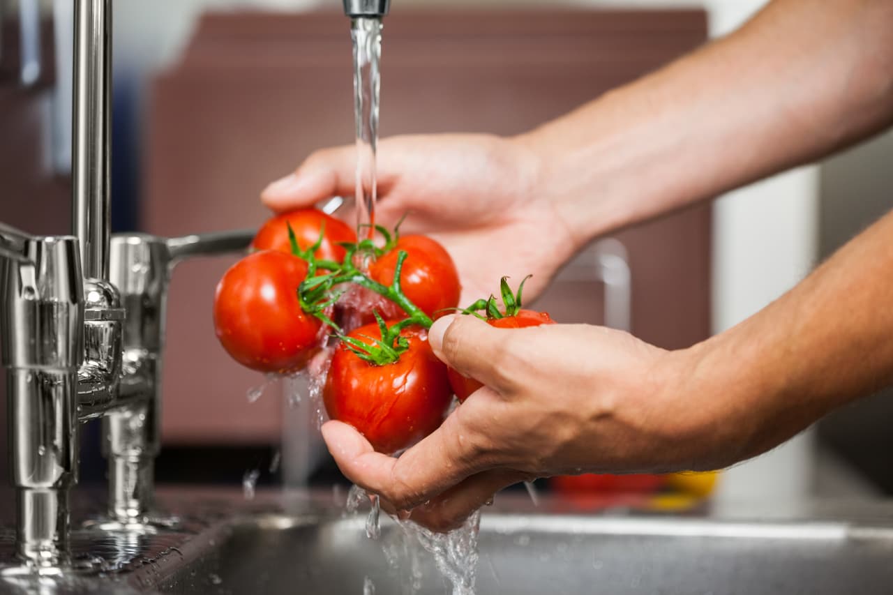 La presencia de microorganismos proviene de todos los alimentos crudos que se lavan allí (carnes, frutas, verduras), y que encuentran en la humedad un lugar idóneo para reproducirse.
