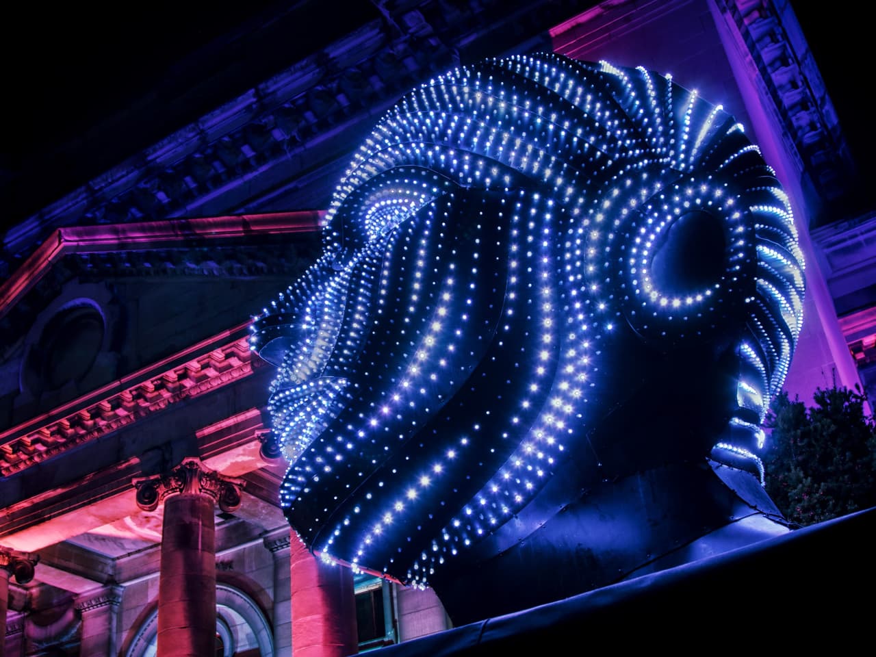 <b>Downtown Raleigh Illuminate Art Walk</b>
<br>
<b>Fechas</b>: 1 de diciembre – 5 de enero de 2024
<br>
<b>Lugar</b>: Downtown Raleigh
<br>
<b>Sitio web</b>: 
<a href="https://downtownraleigh.org/illuminate">https://downtownraleigh.org/illuminate</a> 
<br>
<br>El centro de Raleigh sale a la luz con Illuminate, una caminata artística autoguiada basada en la luz. Esta atracción de cinco semanas se lleva a cabo en los distritos de Fayetteville Street y Glenwood South del centro de Raleigh. Illuminate transformará plazas y espacios subutilizados con una instalación interactiva a gran escala, esculturas basadas en luz y arte de proyección.