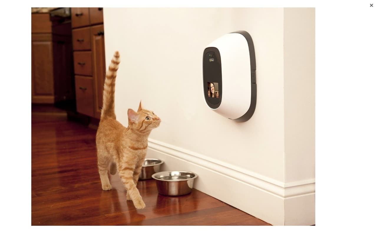 7 artículos futuristas para mascotas que deberías tener en tu casa