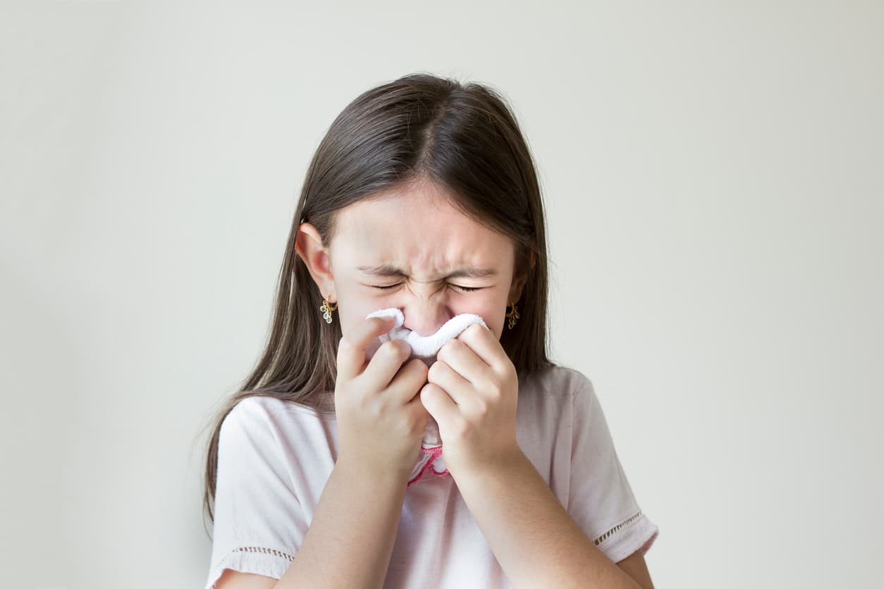 ¿Los estornudos y la nariz tapada arruinan tu día? Remedios naturales para la alergia estacional