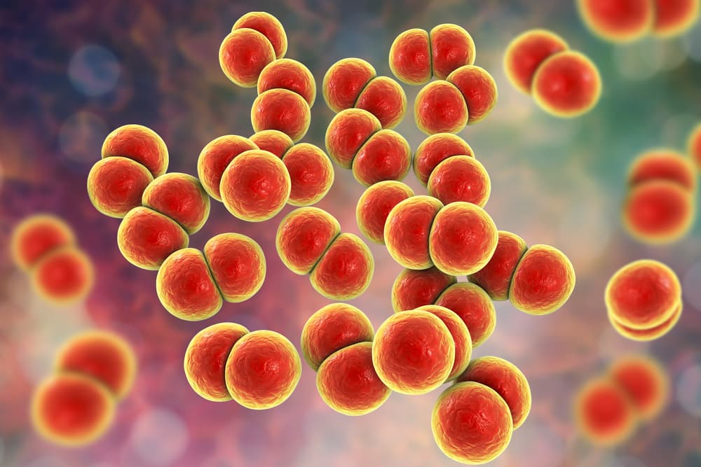 Detectan en EEUU ‘supergonorrea’ resistente a los antibióticos: “Un grave problema de salud pública”