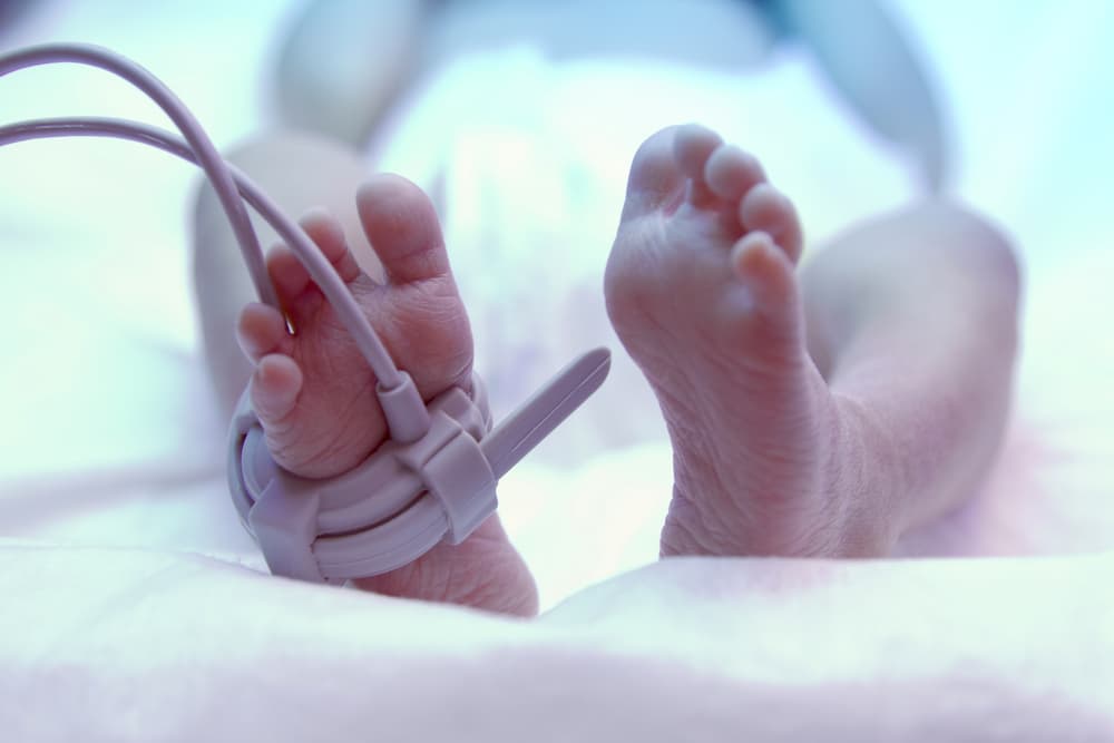 Qué es el OEIS, el extraño padecimiento con el que luchó Lucas, el hijo de Sopitas