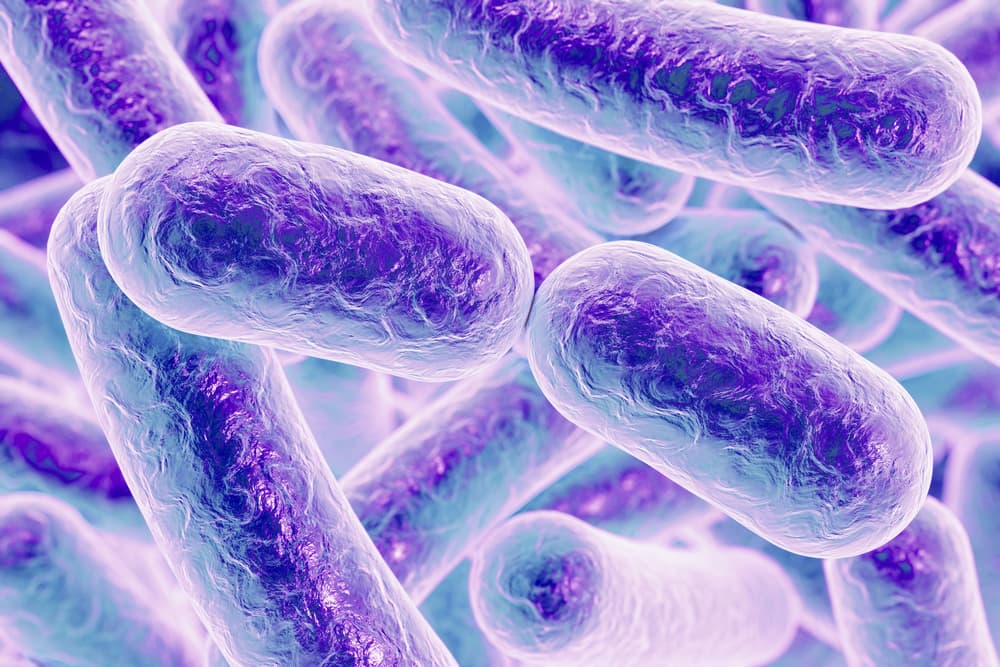Superbacterias podrán ser más peligrosas que el cáncer en unos años