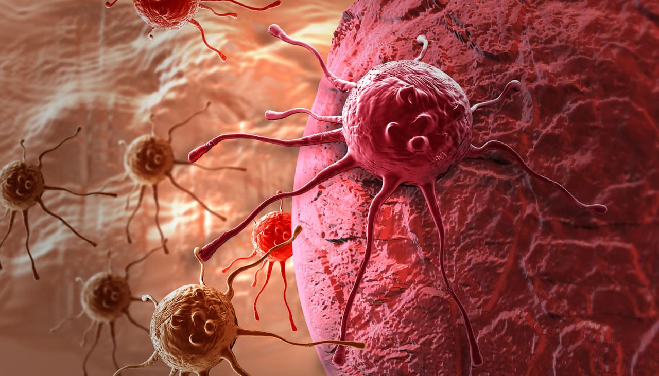 La vacuna contra el cáncer ya se está probando en humanos y es muy esperanzador