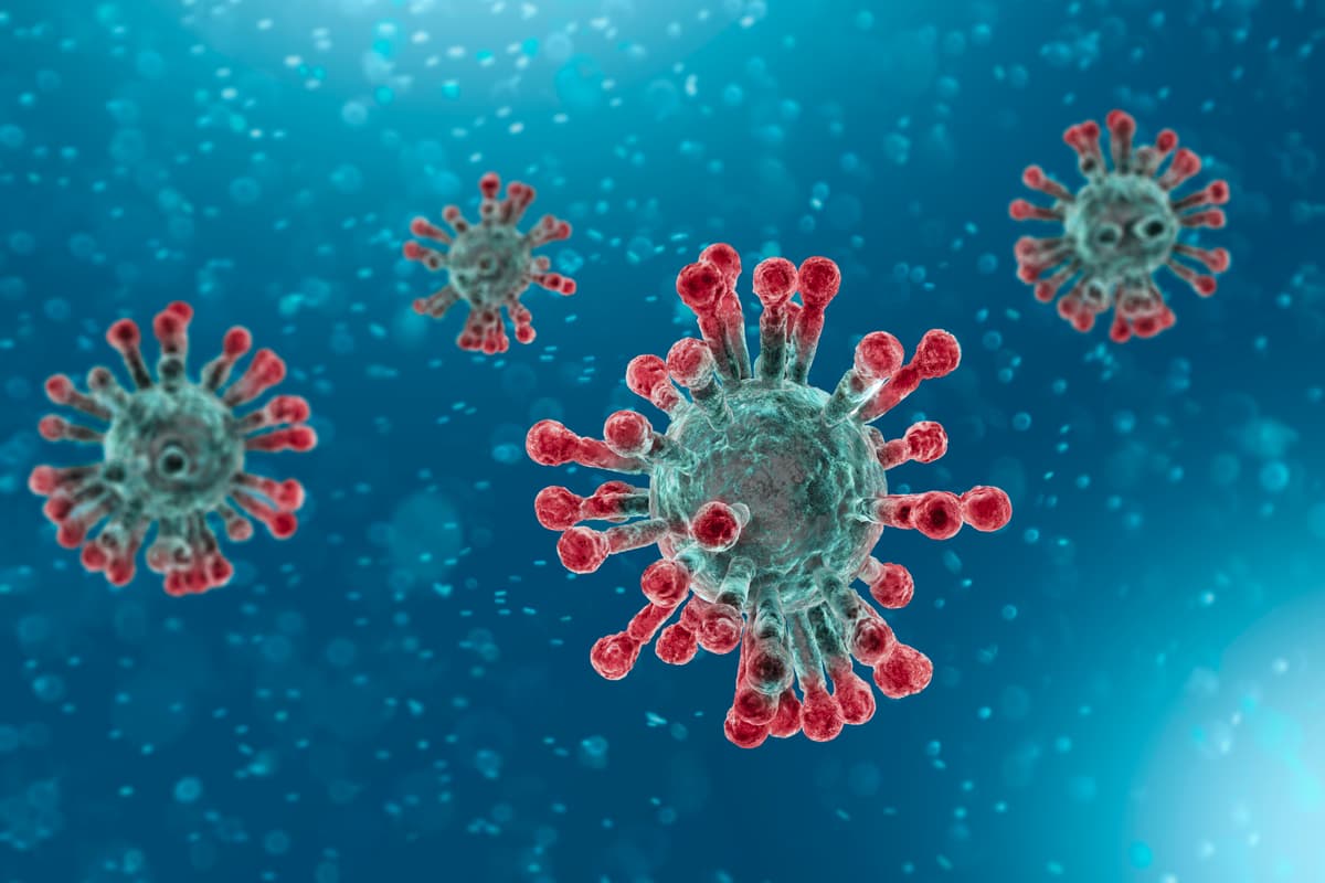¿El coronavirus afecta menos a los niños? Un estudio lo aclara