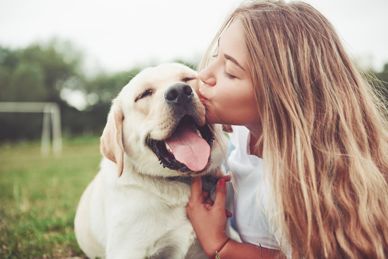 Un perro aprendió a hablar gracias a su dueña: ya hasta hace preguntas e impactó al Internet