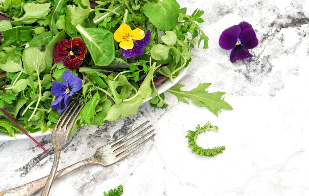 Las flores comestibles son la última moda gourmet: cómo sumarlas a tus platos