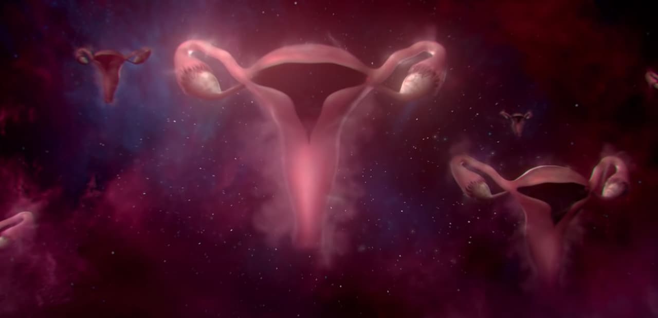 Un video revela las historias de nuestros úteros: no sabías la magia que ocurre ahí