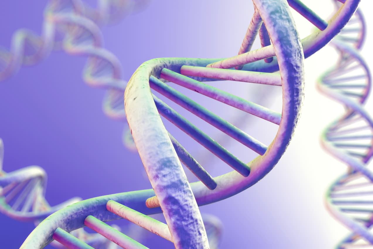El éxito de tu matrimonio depende de este pequeño detalle de tus genes