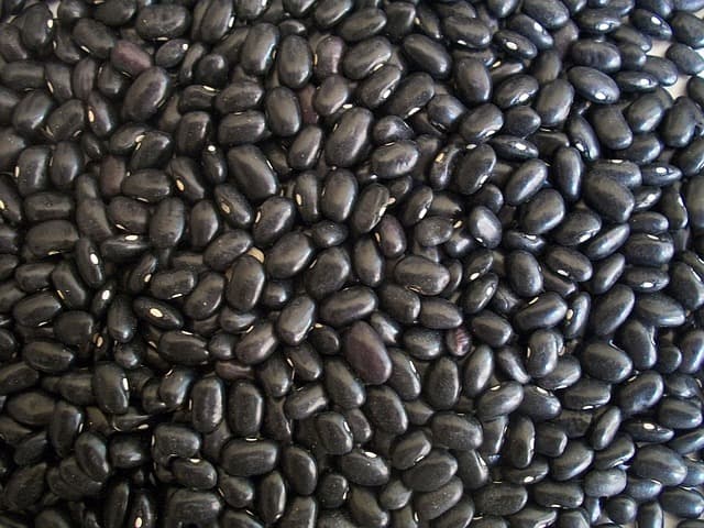 Frijoles con jalapeño y miel: 4 recetas para mimar tu cuerpo con una comida nutritiva