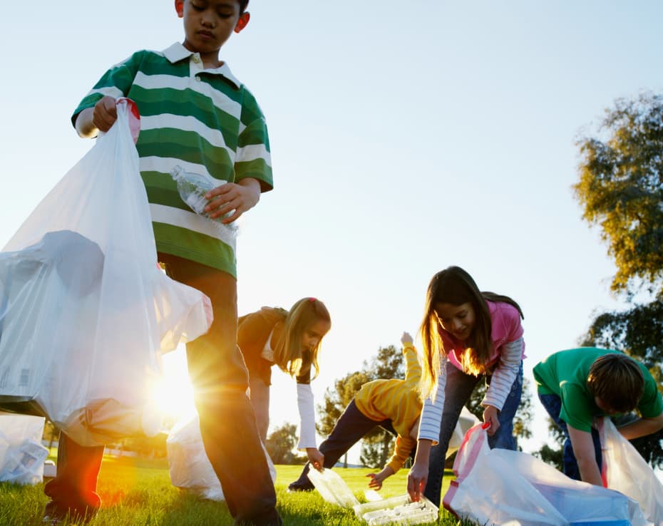 5 de junio: ¡Día Mundial del Medio Ambiente!
