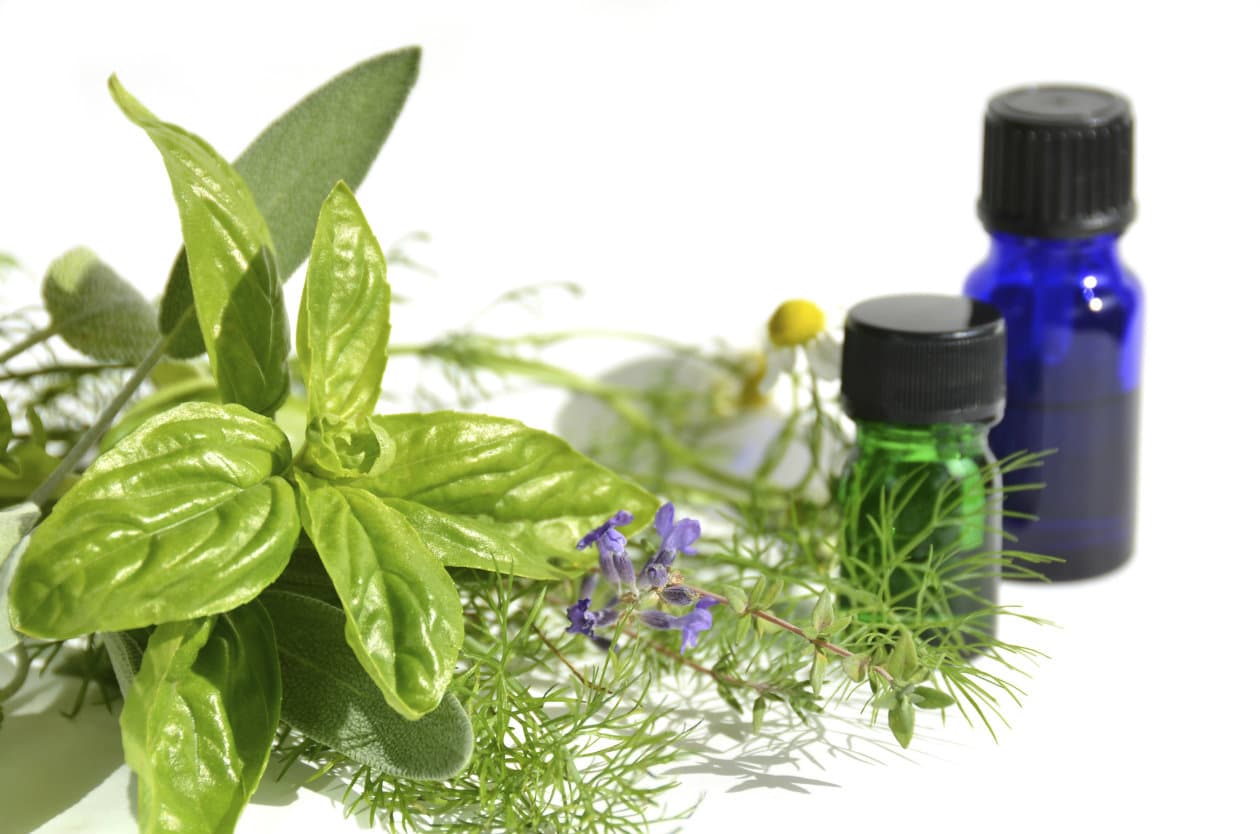 5 Aromas que sanan