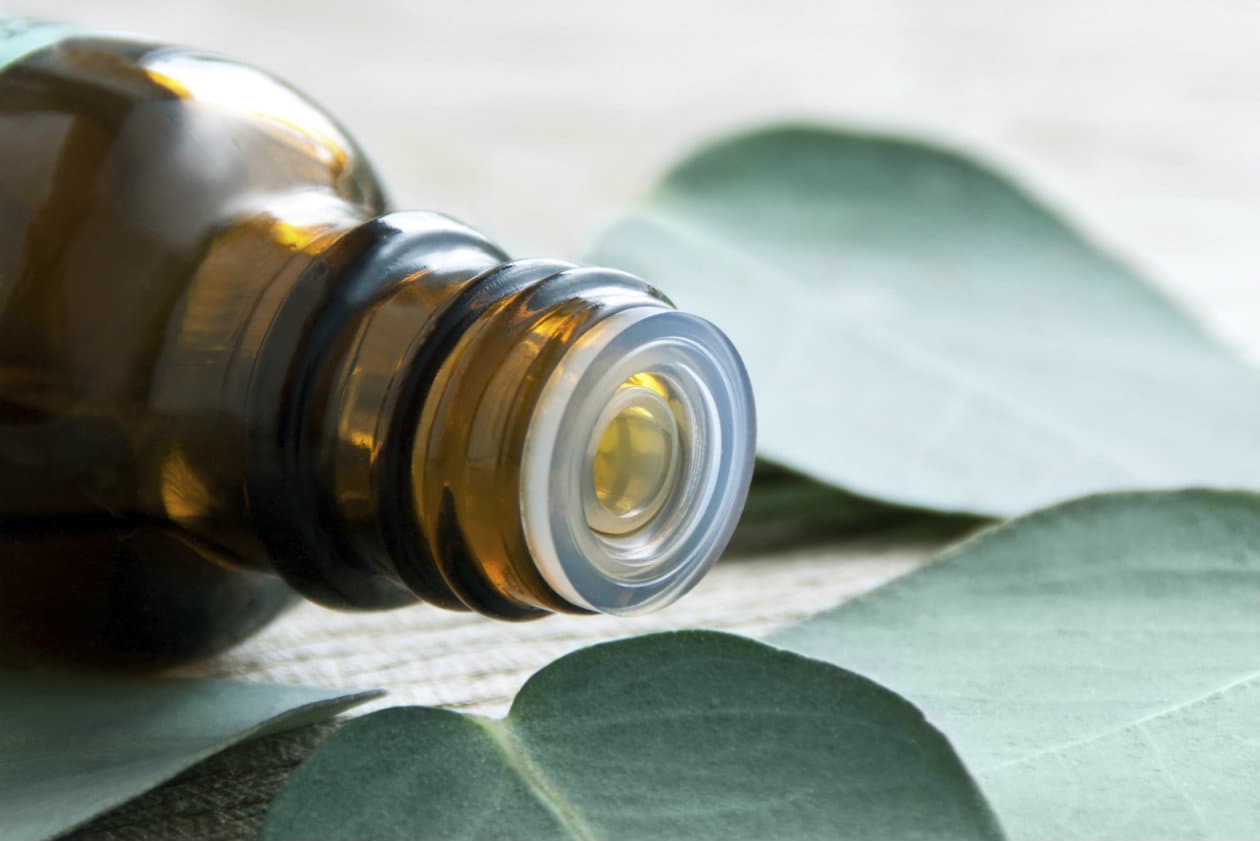  7 aceites esenciales que debes conocer (y por qué son tan increíbles)