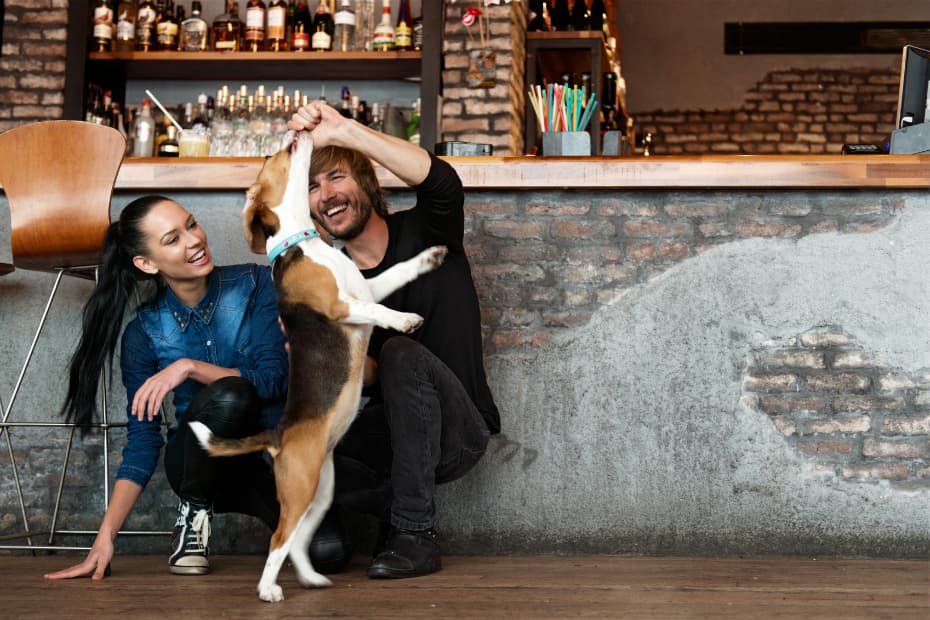 ¿Buscas pareja y además amas a los animales? ¡Esta app es perfecta para ti!