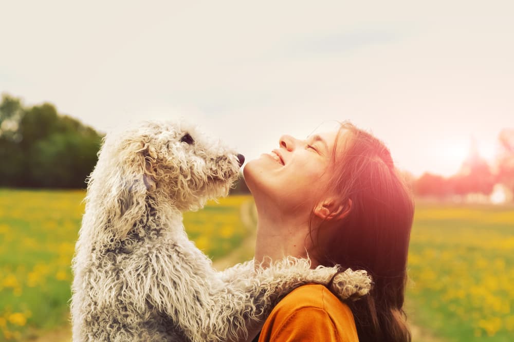 Este estudio científico descubrió que algo maravilloso sucede entre los perros y sus amos