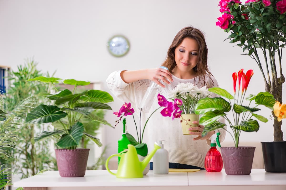 6 plantas aromáticas para decorar tu hogar y perfumarlo de manera natural