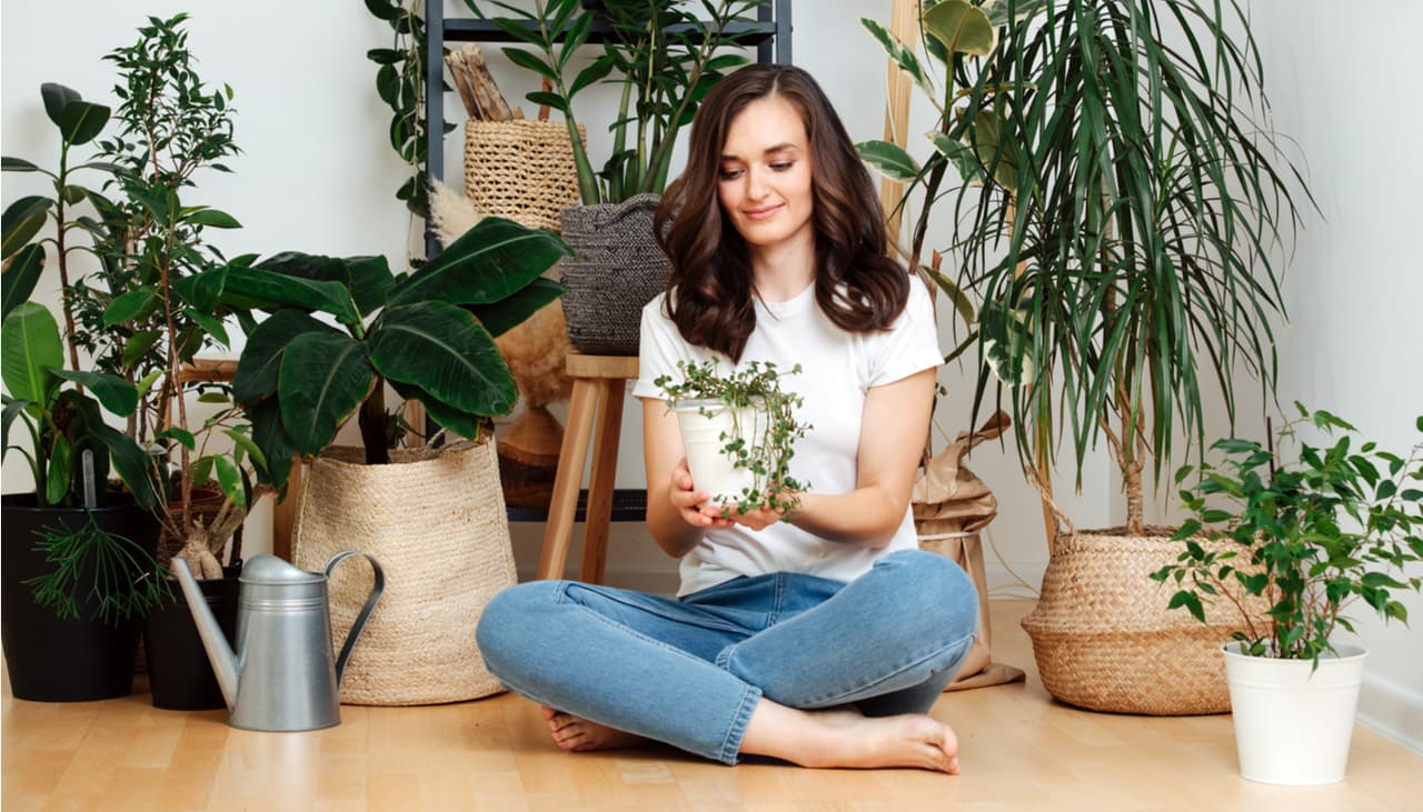 Plantas tóxicas que tienes en tu casa y tú ni cuenta: mucho cuidado con su belleza