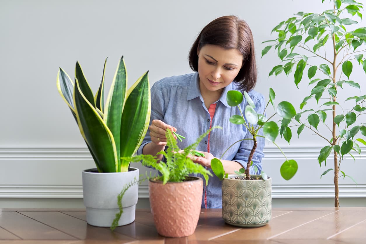 5 errores fatales que pueden acabar con tus plantas (no sólo es el exceso de riego)