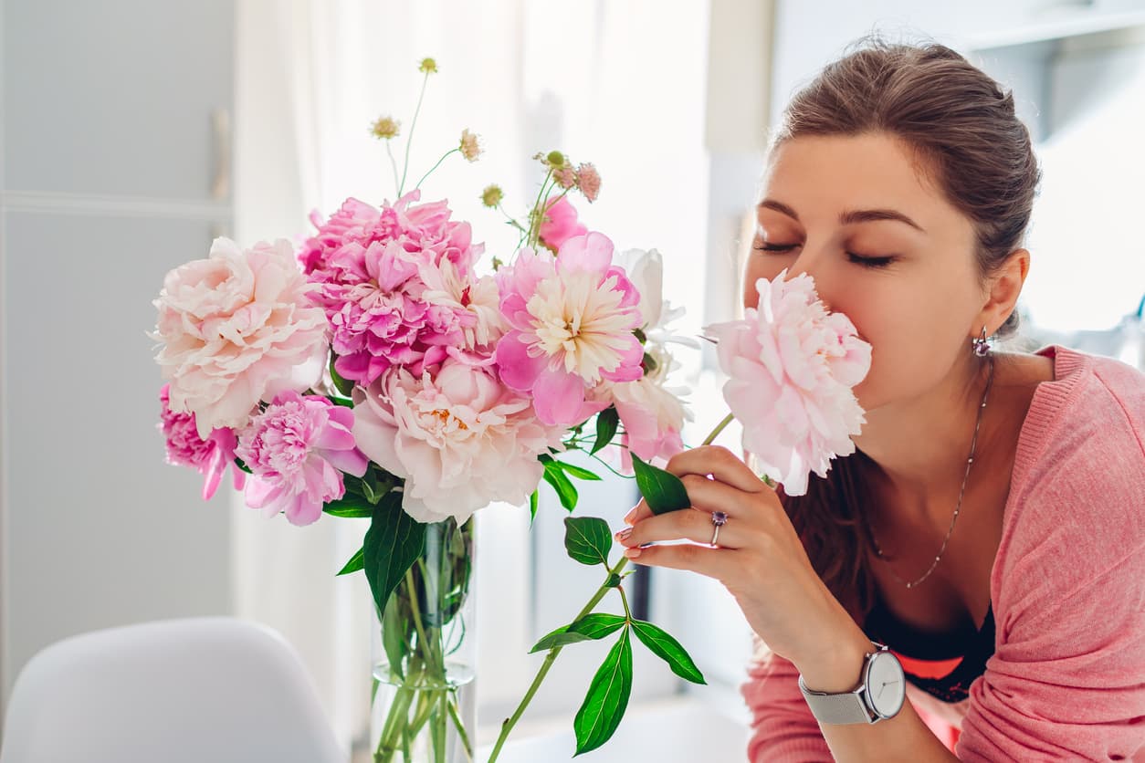 7 plantas que ayudan a atraer el amor: prepárate para vivir un gran romance