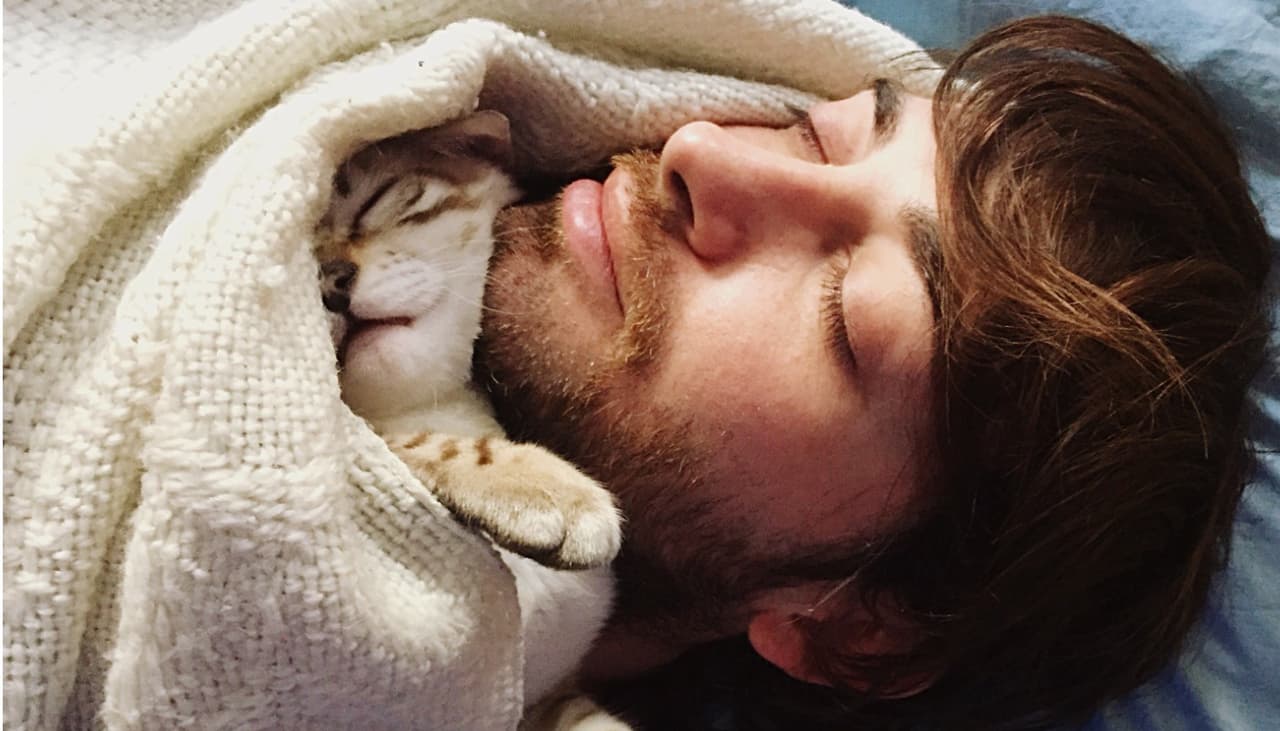 Si tu gato duerme contigo y se acurruca en tu cabeza eres afortunado: te explicamos qué significa
