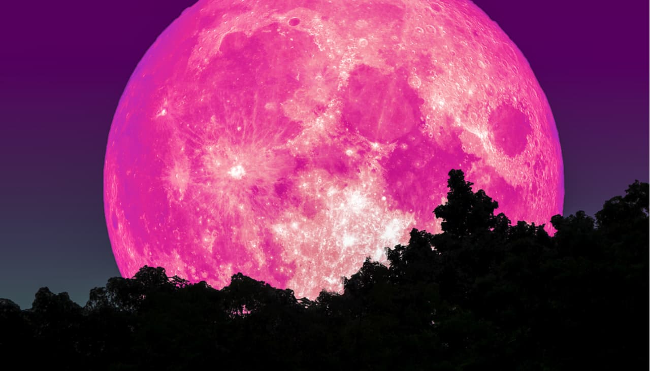 La Súper Luna Rosa aparecerá en los cielos: ¿Cuándo y dónde podré verla?