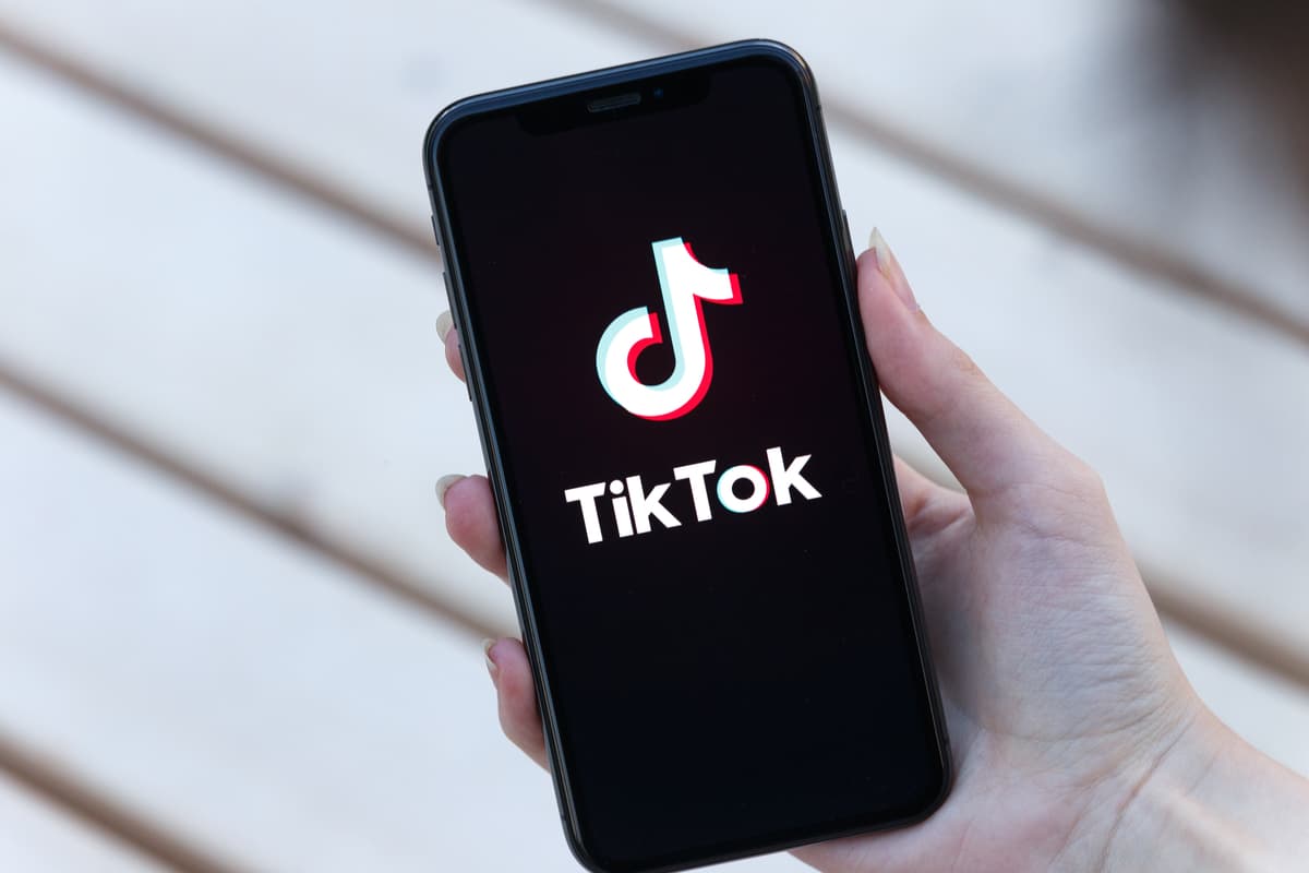Presentan plan modelo para prevenir uso de Tik Tok para empleados estatales