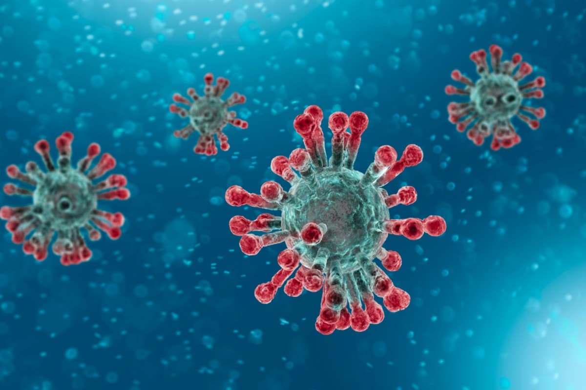  ¿Por qué los virus son mucho más difíciles combatir que las bacterias? Expertos responden